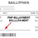 What is the PNP BILLPAYMENT charge on a bank statement?